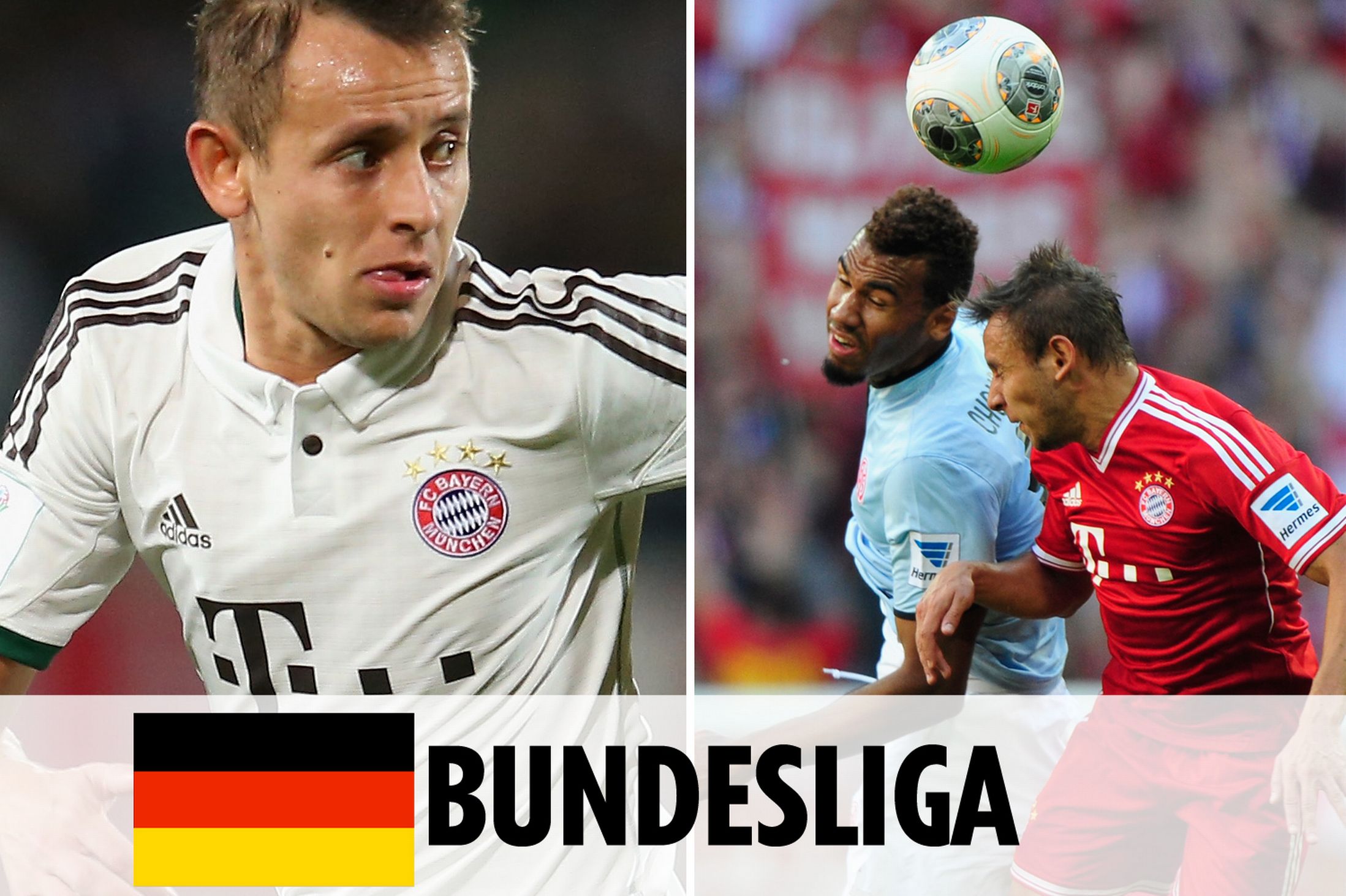 球进入强互 球进入强互